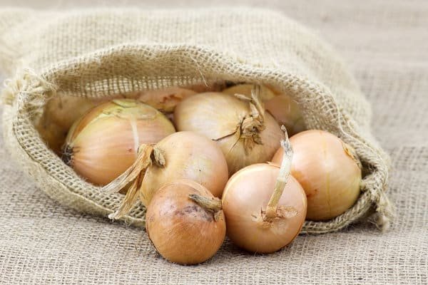 How Many Onions Grow from One Bulb