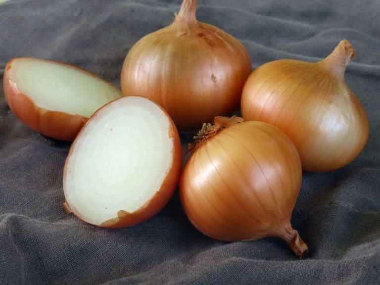 The Ultimate Guide to Cultivating Walla Walla Onions: Tips and Techniques for Successful Growth